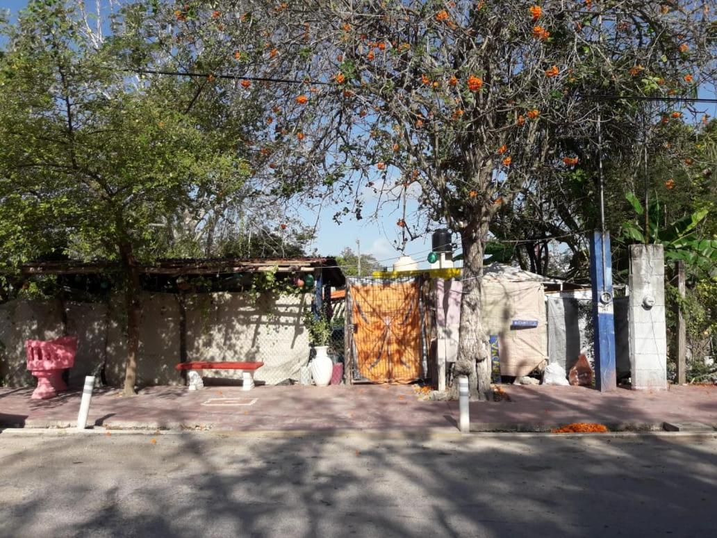 Hostal Y Camping Las G Bacalar Exterior foto
